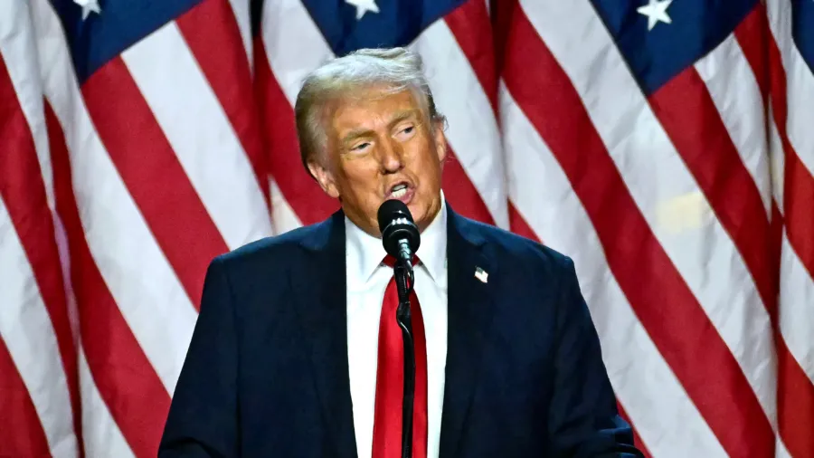 Feasibility, Impacts of Trump's Promised Mass Deportations: Panel Analysis