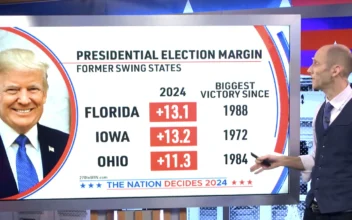 NTD Data Hub Analysis: Trump’s Biggest Gains