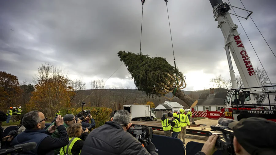 74-foot Christmas Tree En Route to Rockefeller Center