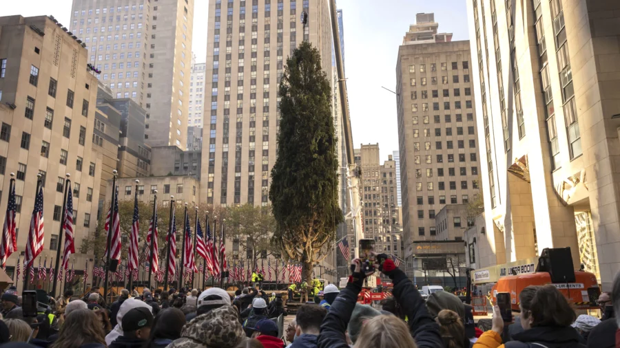 Haul Out the Holly! Rockefeller Center Christmas Tree Arrives in New York City