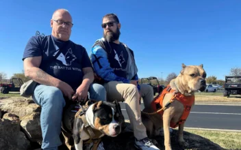 ‘I Got My Life Back’: Veterans With PTSD Making Progress Thanks to Service Dog Program