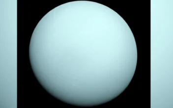 Scientists Uncover Magnetic Misunderstanding About Uranus