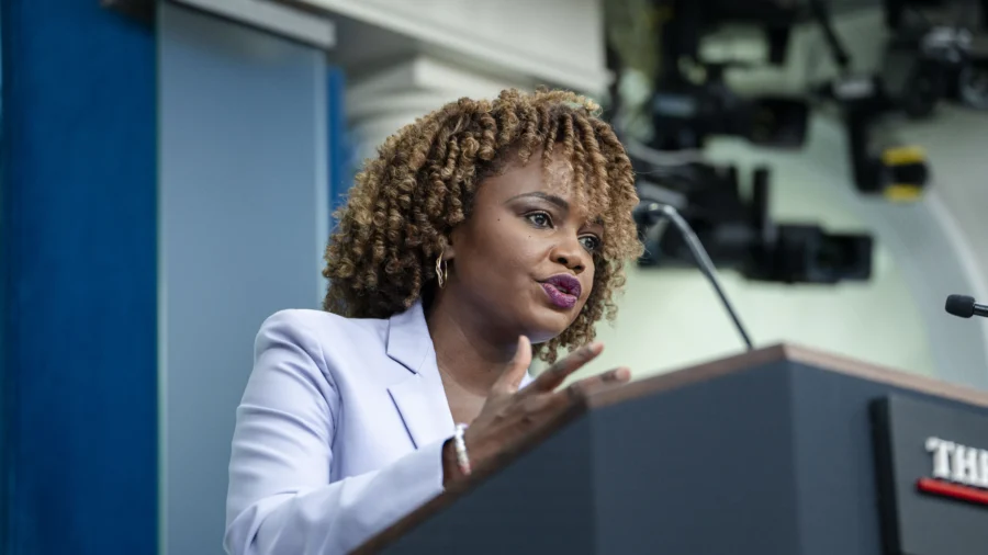 White House Holds Press Briefing (Nov. 13)