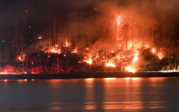 Jennings Creek Fire Scorches over 4,300 Acres