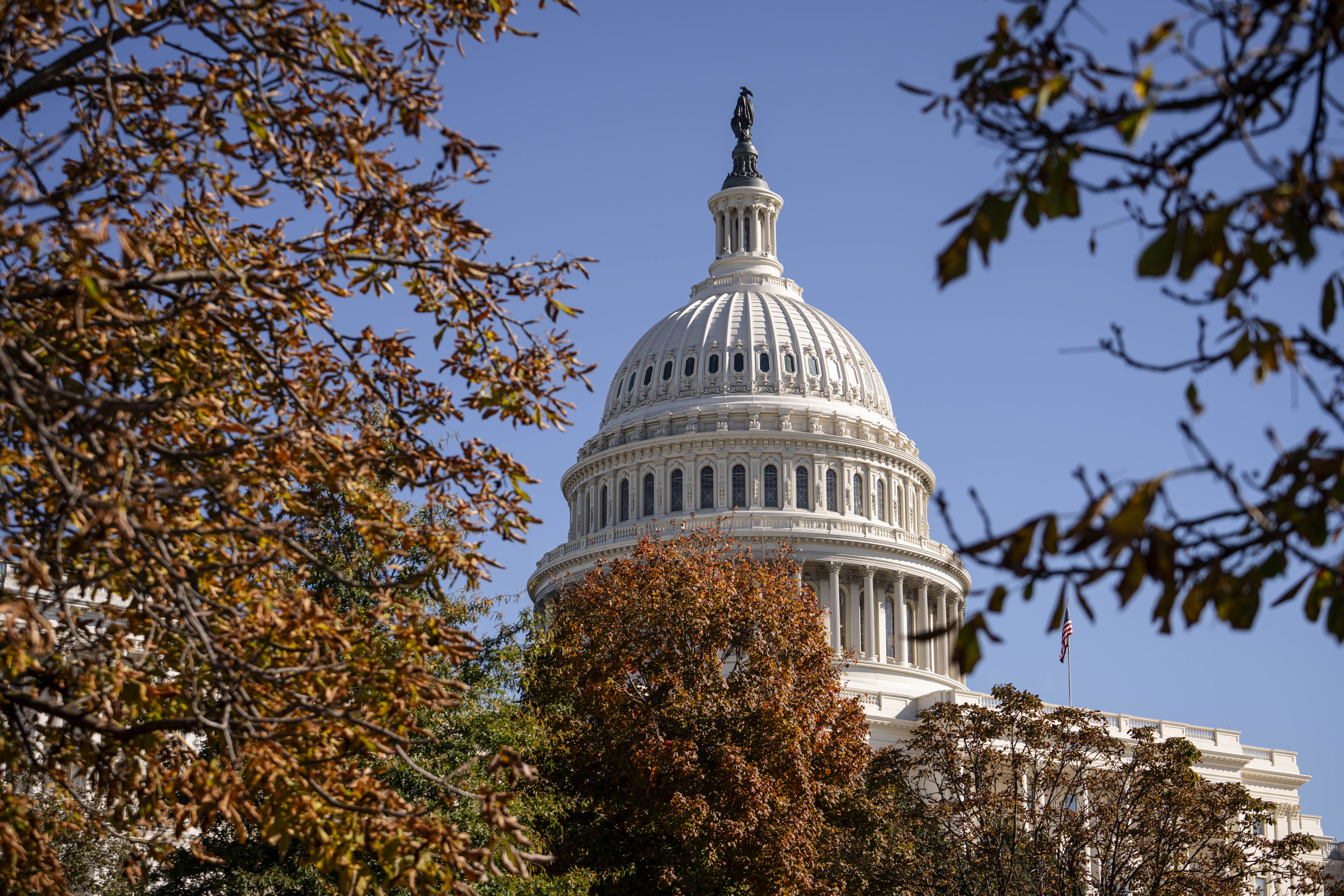 LIVE NOW Newly Elected Congressional Members Arrive at US Capitol NTD