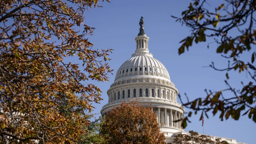 What's Next for Trump’s Cabinet Picks and Vacant Congressional Seats
