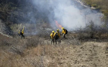 Natural Gas Flares Sparked 2 Wildfires in North Dakota, State Agency Says