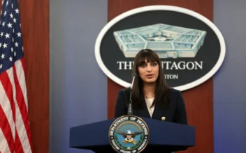 Pentagon Deputy Press Secretary Holds Briefing (Nov.14)