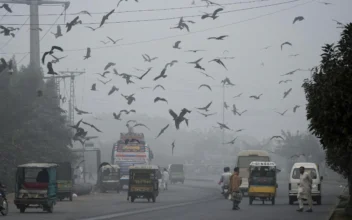 Pakistani Province Declares Health Emergency Due to Smog and Locks Down 2 Cities