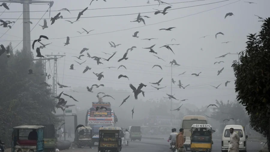 Pakistani Province Declares Health Emergency Due to Smog and Locks Down 2 Cities