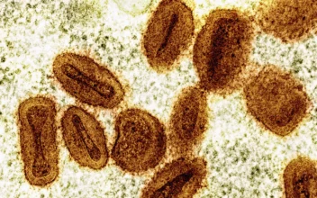 US Health Officials Report 1St Case of New Form of Mpox in Traveler