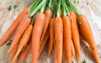 Dozens Sickened and 1 Person Died After Eating Carrots Contaminated With E. Coli