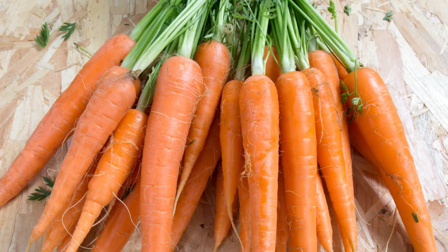 Dozens Sickened and 1 Person Died After Eating Carrots Contaminated With E. Coli