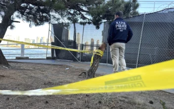 3 People Killed in Random Stabbings in New York City, Suspect in Custody