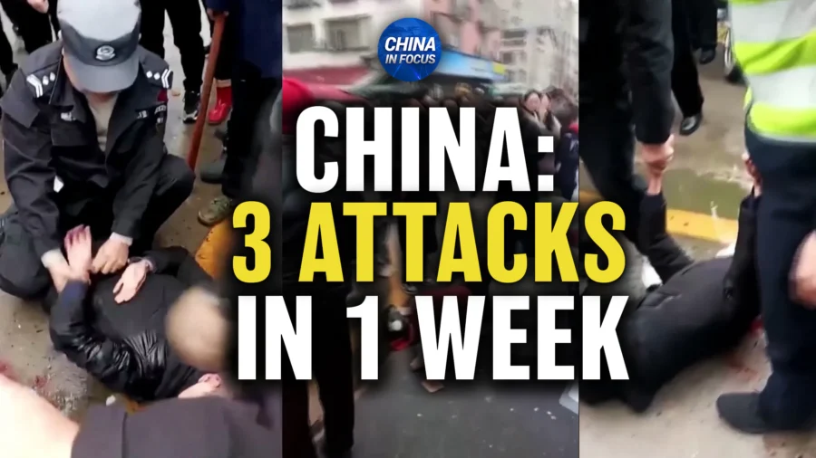 China in Focus Full Broadcast (Nov. 19)