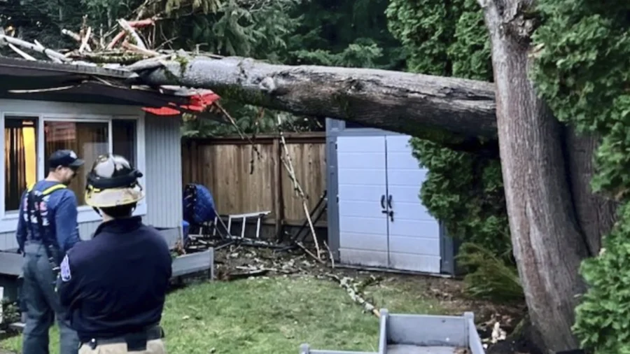 'Bomb Cyclone' Kills 2 and Knocks Out Power to Over Half a Million Homes Across the Northwest US