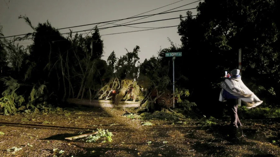 ‘Bomb Cyclone’ Knocks Out Power to Over 600,000 and Downs Trees Across Northwest US, Killing One