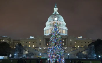 Christmas Tree Arrives at the U.S. Capitol