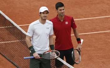 Andy Murray Will Coach Novak Djokovic Through Australian Open