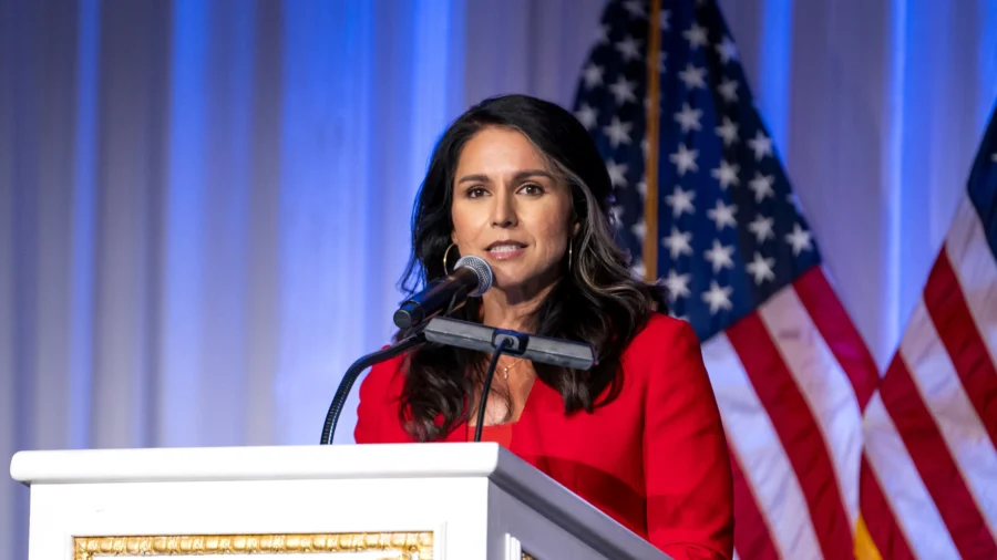 Lack of Intelligence Experience Biggest Obstacle for Gabbard’s DNI Confirmation: Analyst