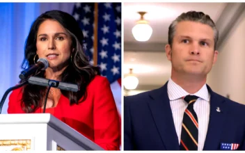 Senators Signal Trump Nominees Gabbard, Hegseth Will Face Grilling in Congress