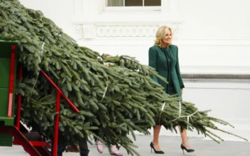 First Lady Jill Biden Receives 2024 Christmas Tree at the White House