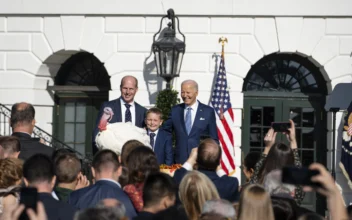 Biden Pardons 2 Turkeys in Annual White House Tradition