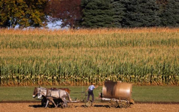 America Is Growing Less Food, Becoming More Reliant on Imports