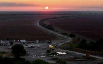 LIVE NOW: Texas Official Offers 1,400-Acre Ranch for Illegal Immigrant Detention Centers