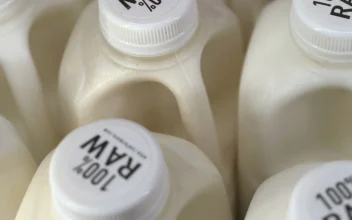 Bird Flu Virus Was Found in Raw Milk—What to Know About the Risks