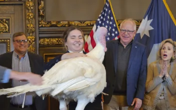 Tim Walz Accepts Turkey Presentation as He Eases Back Into His Duties as Minnesota’s Governor