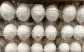 Bird Flu Drives Egg Prices Higher as Holiday Demand Surges