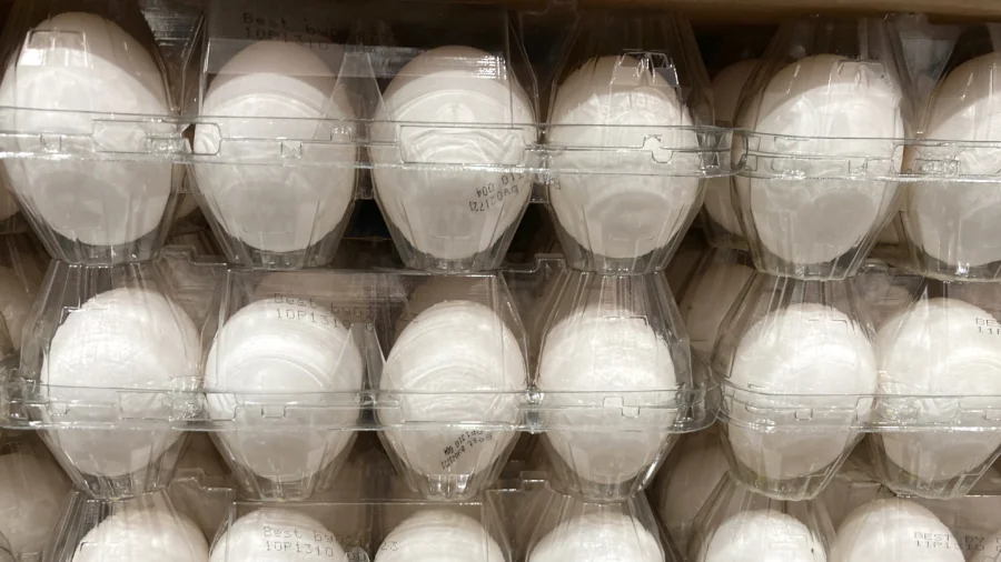 Bird Flu Drives Egg Prices Higher as Holiday Demand Surges