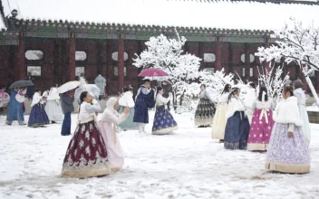 Biggest November Snowstorm in Half Century Hits Seoul and Grounds Flights