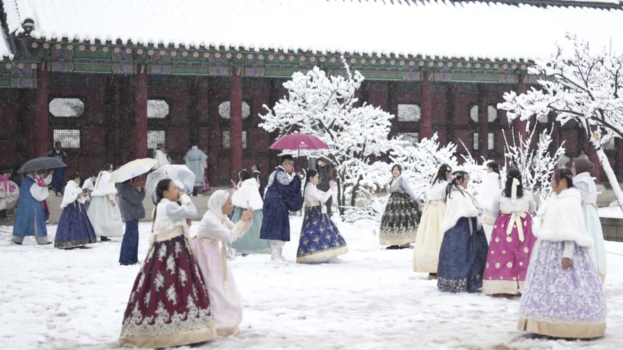 Biggest November Snowstorm in Half Century Hits Seoul and Grounds Flights