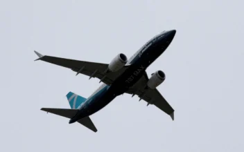 FAA Will Not Require Immediate 737 MAX Engine Action After Bird Strikes