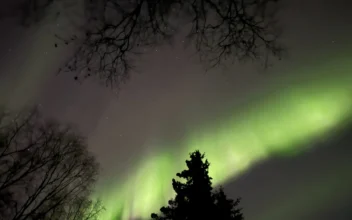 Northern Lights May Be Faintly Visible Across Parts of the US This Thanksgiving