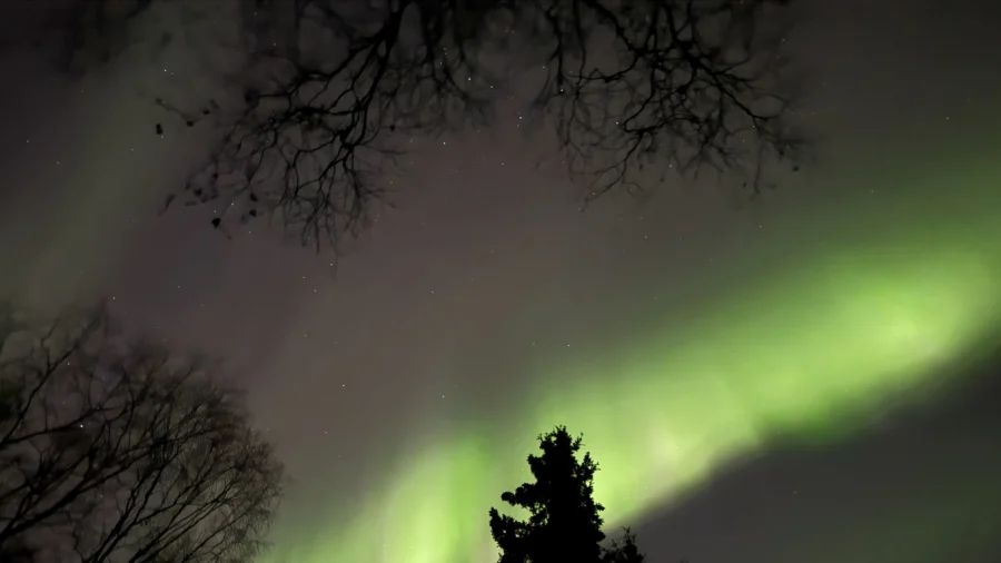 Northern Lights May Be Faintly Visible Across Parts of the US This Thanksgiving