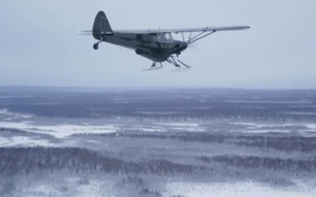 ‘It’s a Bird! It’s a Plane!’ in Alaska, It’s Both, With Pilot Tossing Turkeys to Rural Homes