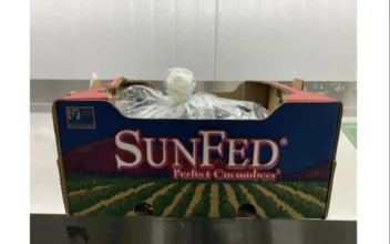 FDA Issues Recall Alert for SunFed Cucumbers Due to Salmonella Risk