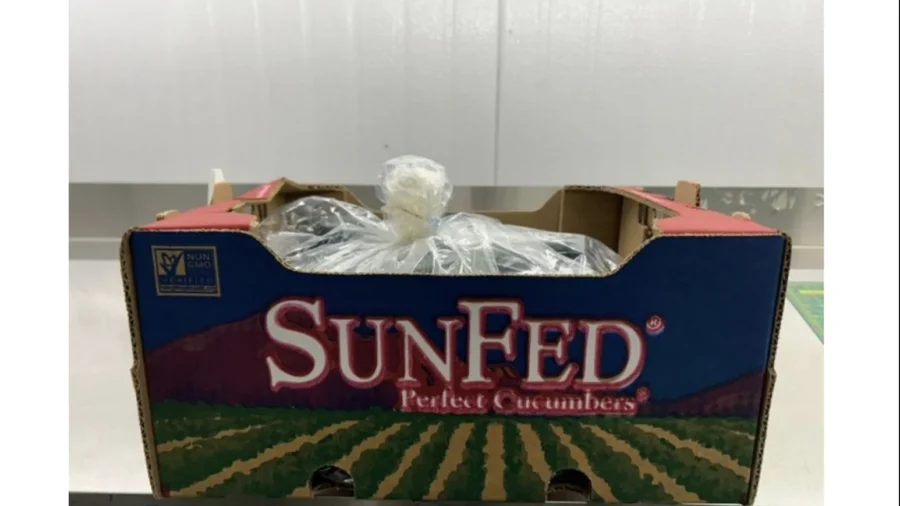 FDA Issues Recall Alert for SunFed Cucumbers Due to Salmonella Risk