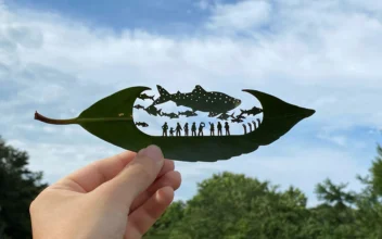 AP PHOTOS: Japanese Artist Finds Solace and Global Fans With Intricate Leaf-Cutting