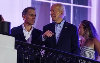 Multiple Democrats Offer Warnings After Biden Pardons His Son