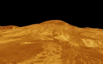 Did Venus Ever Have Oceans? Scientists Have Answer