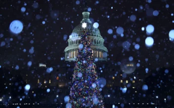 LIVE NOW: 2024 US Capitol Christmas Tree Lighting Ceremony