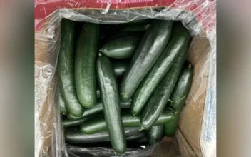 Cucumbers, Salads, Mustard Greens Recalled Across Country