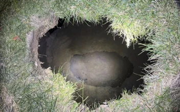 Search Extends Into the Night for Pennsylvania Woman Who May Have Fallen Into Sinkhole