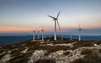 Experts Urge France to Rethink Green Energy Strategy