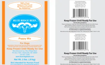 Dog Food Company Issues Puppy Mix Recall in 7 States Over Salmonella Contamination