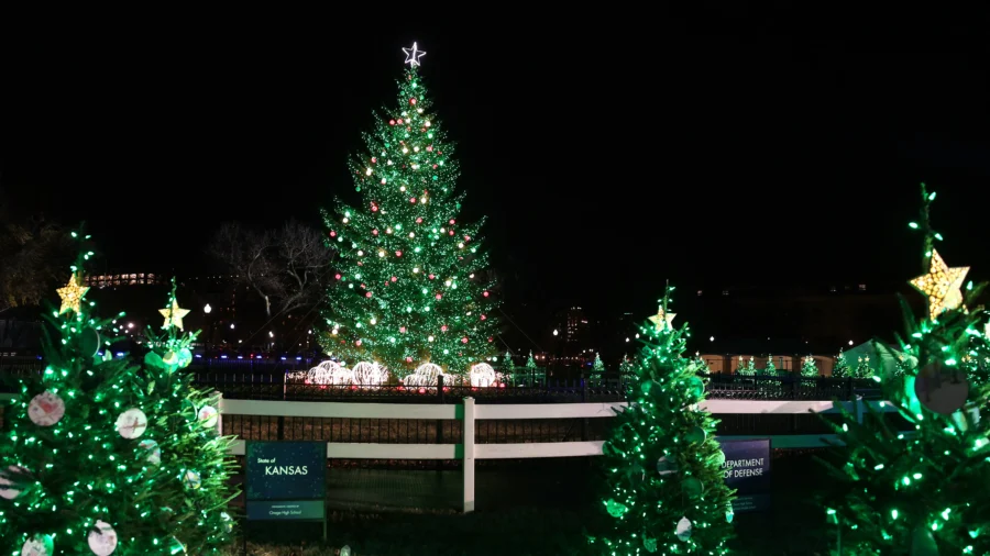 How to Best Get Into the Christmas Cheer This Season